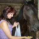  ~_o~, , 62  -  28  2011   0 -   ...