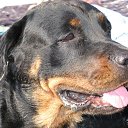 ���� ����, ������ - ��������� 29 ������ 2013 � ������ �������