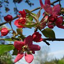 ���� ��������, ������ - ��������� 11 �������� 2011 � ������ �������� ����˨���