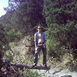 ���������, �������, 38 ���