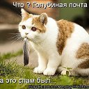 ���� ������, �������, 38 ��� - ��������� 11 ���� 2012 � ������ ����������