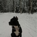 ���� �������, ����������, 38 ��� - ��������� 23 ������� 2011 � ������ ���� ����������