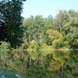 ���� ��������, ��������, 47 ��� - ��������� 1 ������� 2011