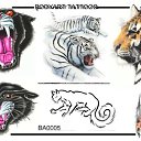  , , 37  -  6  2009   ))) 2