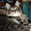 ���� ���������, ������, 26 ��� - ��������� 14 ������ 2011 � ������ �RoadKing�