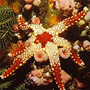 ���� Svetlana, ������, 59 ��� - ��������� 29 ����� 2011 � ������ ���������� ��� ���������� �����