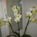 ���� V�������, ��������� - ��������� 6 ������� 2012 � ������ ���������.�