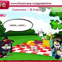  , , 41  -  29  2010   PetLove
