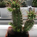 ���� ������, �������, 64 ���� - ��������� 16 ���� 2011 � ������ �����Ȼ