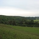 ���� �����, ��������, 45 ��� - ��������� 3 ������� 2010 � ������ ����� �������