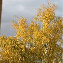 ���� ��������, �����-���������, 54 ���� - ��������� 16 ���� 2012 � ������ �����������