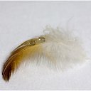 ���� ������, ����� - ��������� 8 ���� 2010 � ������ ����������