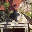 ���� ������, �����-���������, 60 ��� - ��������� 27 ������� 2009 � ������ �������� 2009�