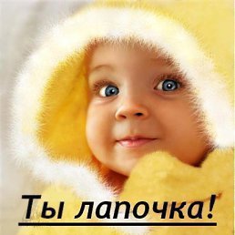 ���� �������, �����������, 53 ���� - ��������� 11 ���� 2011