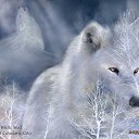 ���� ����, ����, 46 ��� - ��������� 9 �������� 2010 � ������ ��������