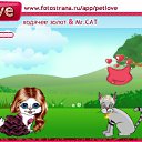 ���� ����������, �����, 24 ���� - ��������� 12 ��� 2011 � ������ �PetLove�