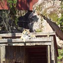 ���� ������, �����-���������, 60 ��� - ��������� 27 ������� 2009 � ������ �������� 2009�