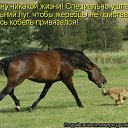 ���� Ivan, ������ - ��������� 24 ������ 2011 � ������ �������