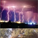 ���� ����, ��������, 43 ���� - ��������� 19 ��� 2009 � ������ �������