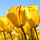 ���� ������, ������, 22 ���� - ��������� 8 ���� 2012 � ������ �������