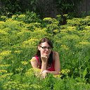 ���� �����, ��������, 34 ���� - ��������� 19 ����� 2012 � ������ ���� ����������