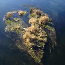 ���� �������, �������, 38 ��� - ��������� 11 ��� 2010 � ������ ���� ����� ����� �������