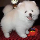 ���� Nv, ����� - ��������� 5 ���� 2013 � ������ ������ ��������