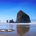 ���� �������, ��������, 44 ���� - ��������� 22 ������ 2010 � ������ ��� ����� ��������.�