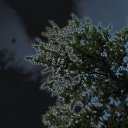  .,  -  7  2009    2009