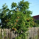���� ������� 224 ����, ������ - ��������� 12 ������� 2013 � ������ �������� ����