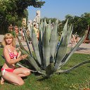� ��������� ���������. ����, 2013. �� ������� ���� ����������