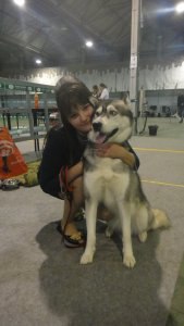 Panterra, ������, 36 ���