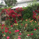 ���� �������, �������, 70 ��� - ��������� 3 ���� 2013 � ������ ���� ����������