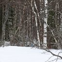    ,   .   .     ,  -      .       .