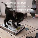 ���� ����, ������-������, 60 ��� - ��������� 2 �������� 2012 � ������ ����������