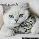 ���� ������, ������������, 51 ��� - ��������� 13 ������ 2010 � ������ ������� �������� �� ����..�