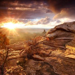 ���� �������, ����, 26 ��� - ��������� 1 ������ 2011