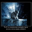 ���� �������, ������, 39 ��� - ��������� 23 ������� 2010 � ������ ��������������