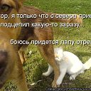 ���� ��������, ������������, 48 ��� - ��������� 20 ������� 2011 � ������ �������������