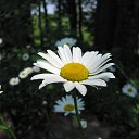 ���� ������, ������ - ��������� 25 ��� 2012 � ������ ���� ����������