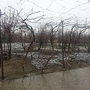  ,  -  5  2013    2013 . , , , .