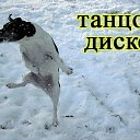 ���������� ��� ������ � ���������� ������� http://vk.com/app2257829#/profile/16935943/ �� ������� ���� ����������