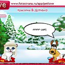  ,  -  24  2011   PetLove