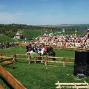  , , 39  -  19  2013     2013