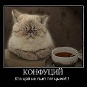 ���� Aksi=))), ������ - ��������� 15 ��� 2010 � ������ �...no comments��