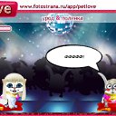 ���� ������, ���������, 48 ��� - ��������� 3 ������ 2010 � ������ �PetLove�