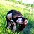 ���� ������, ����������, 30 ��� - ��������� 26 ��� 2012