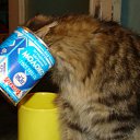 ������ �������. �� ������� ���������� (����)�