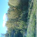 ���� Rina, �������, 39 ��� - ��������� 26 ������ 2010 � ������ ��������