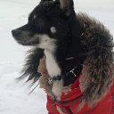 ���� ˸����, ������, 52 ���� - ��������� 24 ����� 2013 � ������ ���� ����������